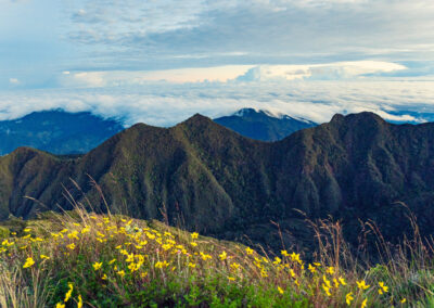 Chiriqui - Volcan Baru
