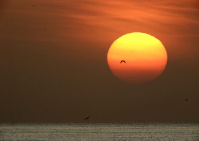 Buena Ventura - sunrise