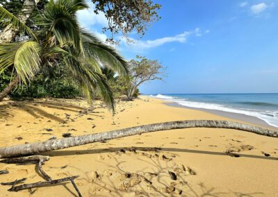 Bocas Del Toro - Isla Colon