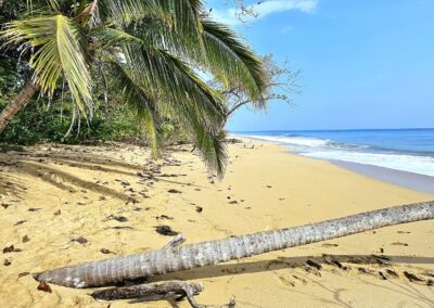 Bocas Del Toro - Isla Colon