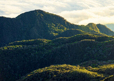 Chiriqui - Volcan Baru