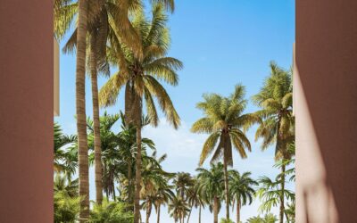 Alamar — Buena Ventura